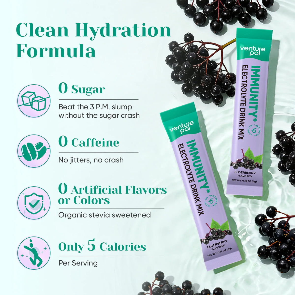 Elderberry